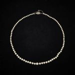 1436 7172 PEARL NECKLACE